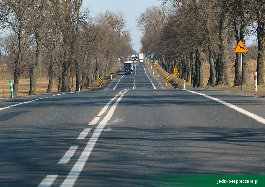 Porozmawiajmy o bezpieczeństwie - Wypadki drogowe w Polsce - Marzec 2019